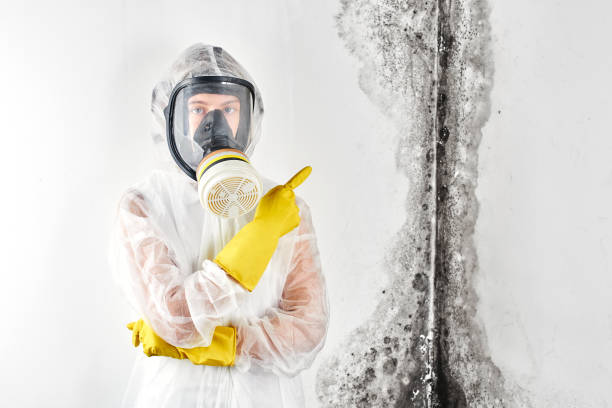 Best Water Damage & Mold Remediation  in Carthage, TN